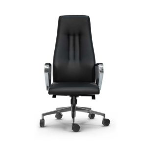 EX-AXHBSN01-Executive-Chair-01