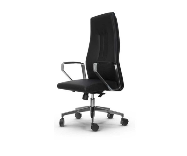 EX-AXHBSN01-Executive-Chair-02