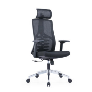 Chromix Ergonomic Chair: Adjustable Lumbar Support & 2D Adjustable Armrest - sides