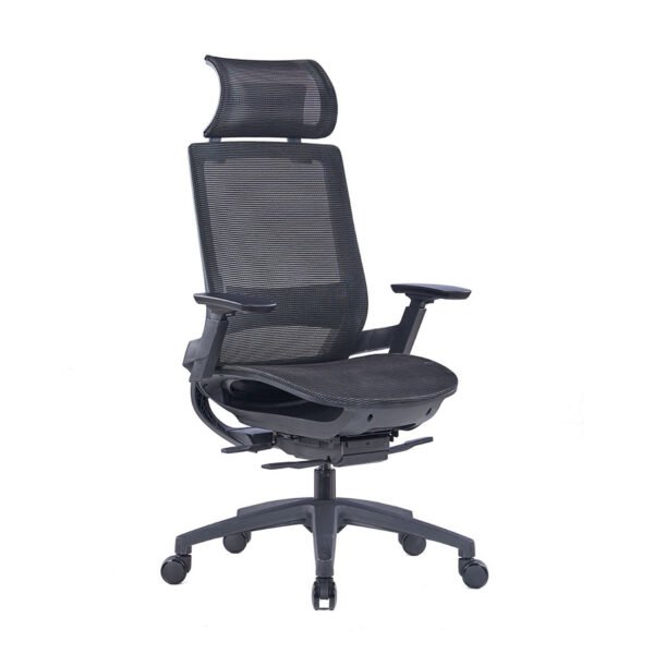 Buy Eva Ergonomic Office ChairDubai