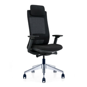 Exotic Ergonomic Chair Black With Four Positions Lock Mechanism With Sliding Seat - sides