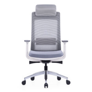 Exotic Ergonomic Chair With White Frame and Nylon Glass Fiber Frame - front