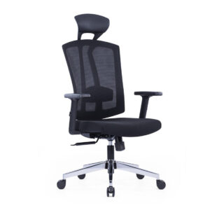 Macro Chrome Base Ergonomic Chair With Adjustable Lumbar Support - Sides