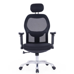 Matrix Ergonomic Office Chair with nylon glass fiber frame and adjustable headrest - front