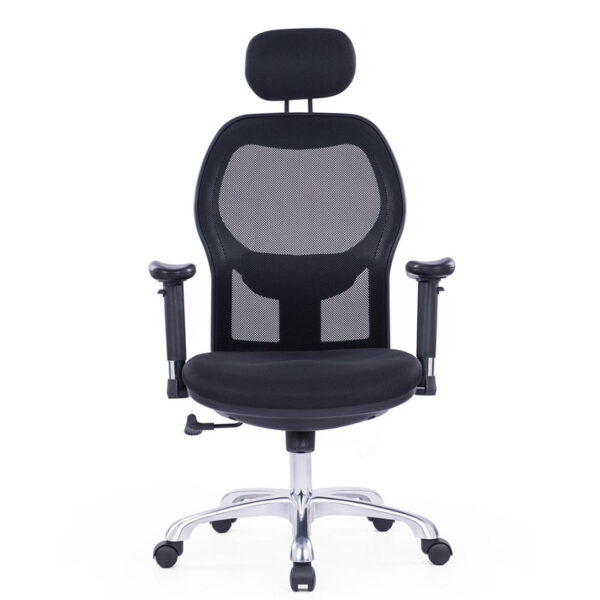 Matrix Executive Office Chair 01