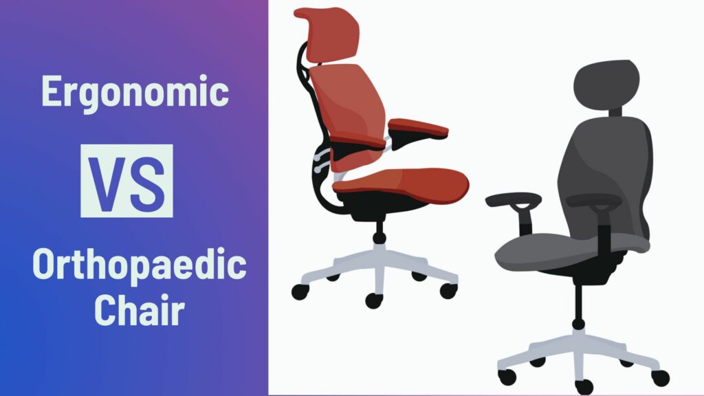 ergonomic chair vs Orthopaedic Chair